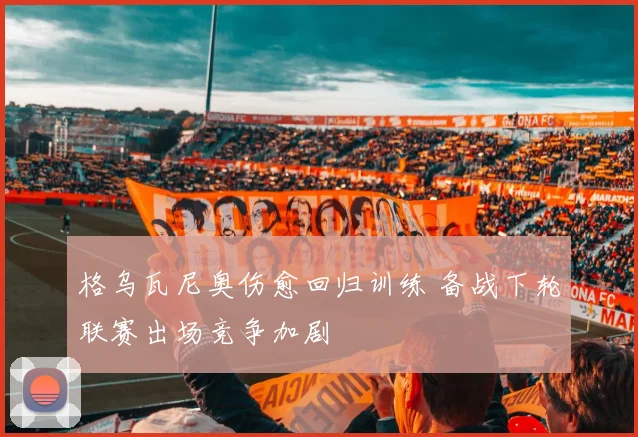 格乌瓦尼奥伤愈回归训练 备战下轮联赛出场竞争加剧