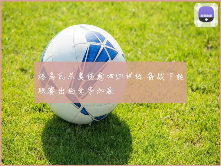 格乌瓦尼奥伤愈回归训练 备战下轮联赛出场竞争加剧