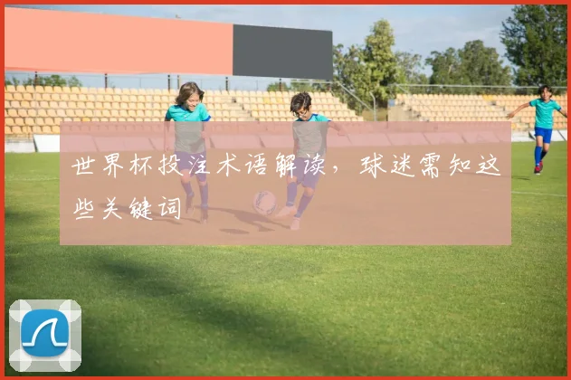 世界杯投注术语解读,球迷需知这些关键词