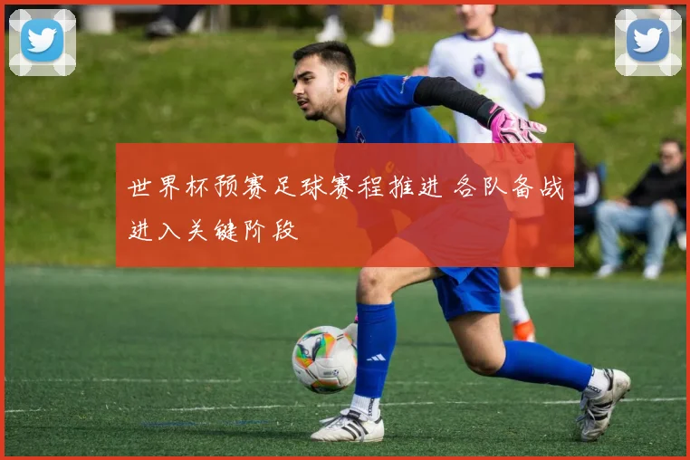 世界杯预赛足球赛程推进 各队备战进入关键阶段