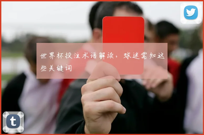 世界杯投注术语解读，球迷需知这些关键词