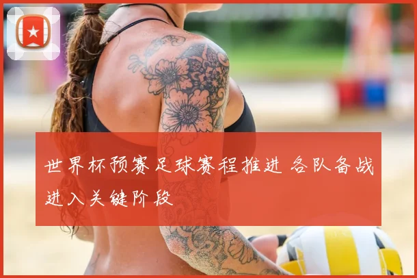 世界杯预赛足球赛程推进 各队备战进入关键阶段