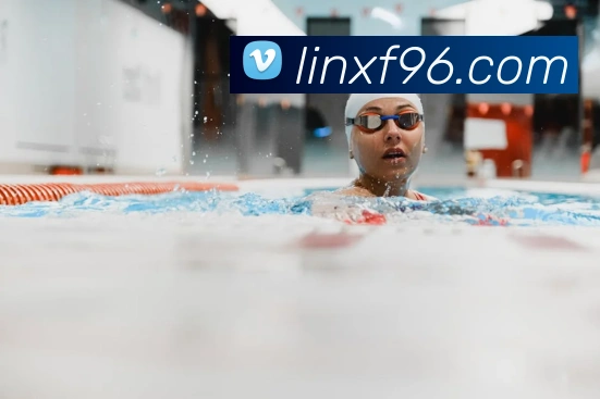 世界杯平台官网登录平台生态图