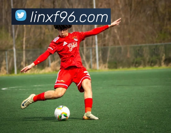 世界杯平台官网登录全站App 世界杯平台官网登录全站App